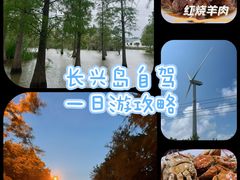-上海长兴岛郊野公园