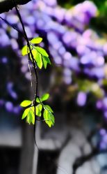 -Cindy Jewelry·钻戒·彩色宝石