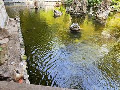 -国恩寺