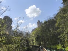 -索溪山寨·湘西饮食文化博物馆(标志门店)