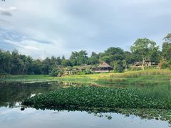 -四季酒店下午茶