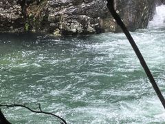 -石台牯牛降景区