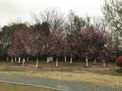 -钟山体育运动公园