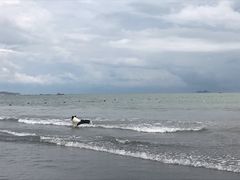 -台山黑沙湾海浴场