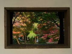 -秋霞圃