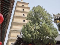 -大慈恩寺(大雁塔)