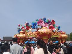 -曹州牡丹园