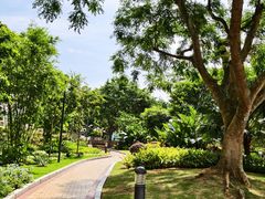 -石排湾郊野公园