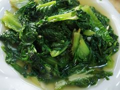 -煲来饱去冷水鱼