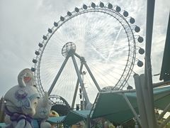 -海合安武汉极地海洋公园