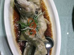 -兴圆苑
