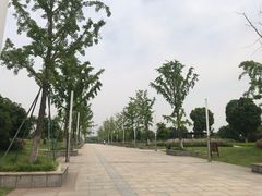 -九里河湿地公园