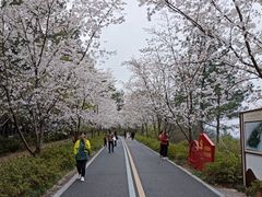 -临平公园(临平街道)