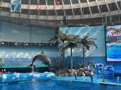 -海合安成都极地海洋公园