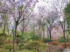 -南宁市凤岭儿童公园