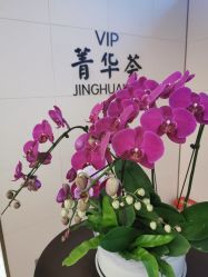 -杭州医学院附属妇儿医院