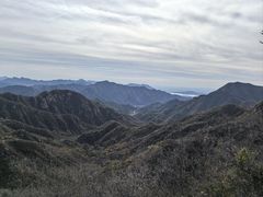 -大岭沟猕猴桃谷风景区