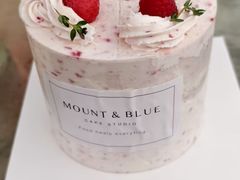 -山与蓝·轻糖鲜果蛋糕(勒泰店)