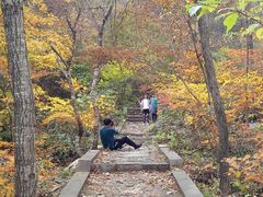-大连天门山国家森林公园