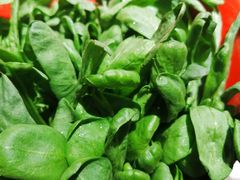 -庄老幺火锅(娄山关路店)