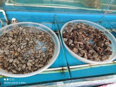 -盛华世家商业广场农贸水产综合批发市场