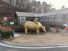 -南京金牛湖风景区