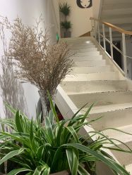 -M+hair salon专业造型沙龙