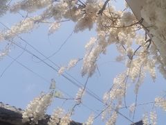 -费孝通江村纪念馆