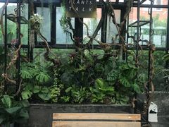 -北马山庄植趣咖啡