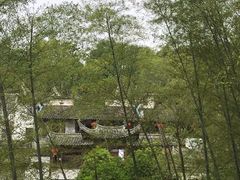 -塔川景区