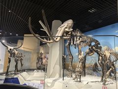 -国家自然博物馆