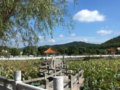 -红山村