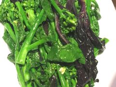 -蝴蝶汇音乐酒馆(罗湖店)