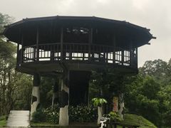 -瑞穗牧场