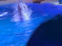 -哈尔滨波塞冬海底世界