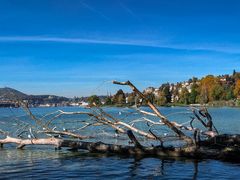 景点-琉森老城区