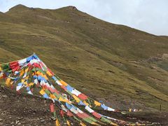 -扁都口生态休闲旅游区