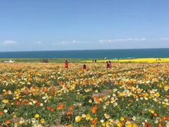 -青海湖国家重点风景名胜区售票处