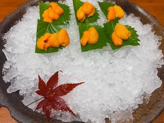 -月龍吟(朝龙汇店)
