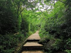 -梦幻奥陶纪景区