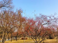 -承德避暑山庄景区