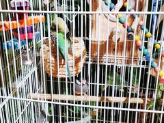 -舌尖上的食缘花园主题餐厅