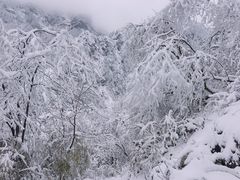 -九峰山