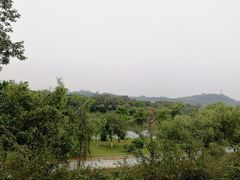 -鹤之洲湿地公园