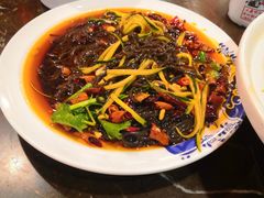 蕨根粉-粗粮人家·东北菜(洋桥店)