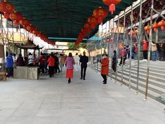 -仙岳公园