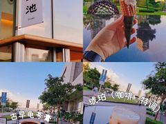 琥珀-SAANCI山池咖啡(海上世界文化艺术中心店)