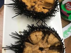 -海胆小馆(东北水饺·春柳店)