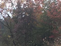 -徽州美食(三十年老店)