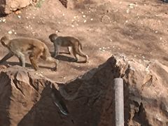 -昆明动物园